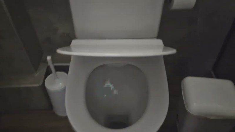 KR toilet opera