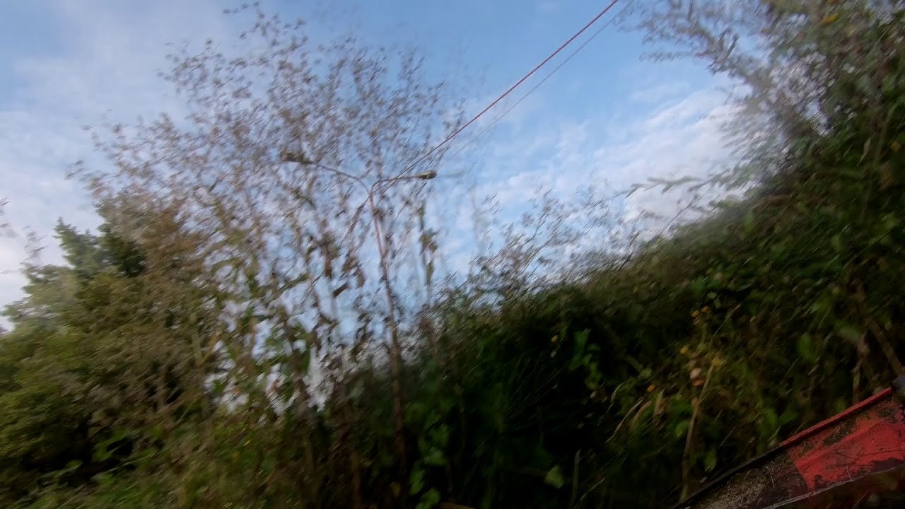 KR Cuttn the weeds