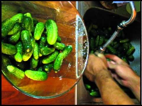 Hm - Gurka Kumara