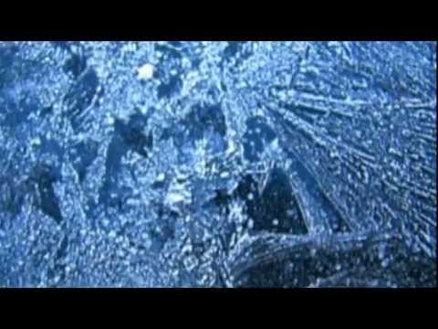 Hm - Flowerable Winter