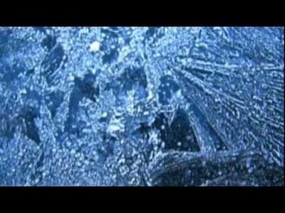 Hm - Flowerable Winter